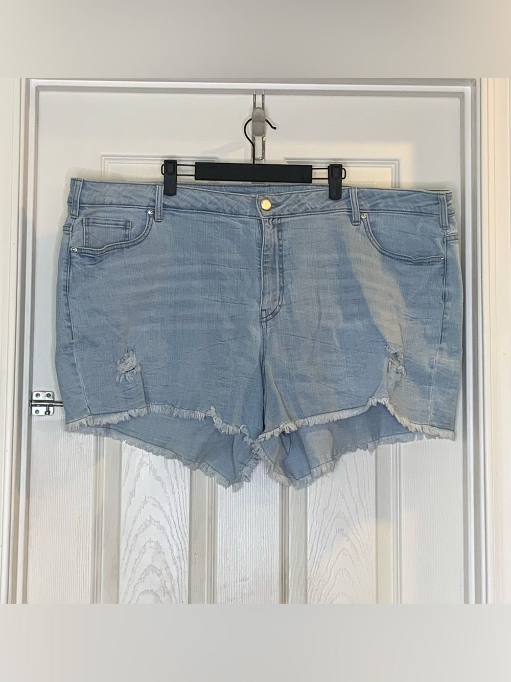 Lane Bryant Girlfriend Short Distressed Size 26
